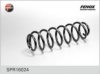 FENOX SPR16024 Coil Spring